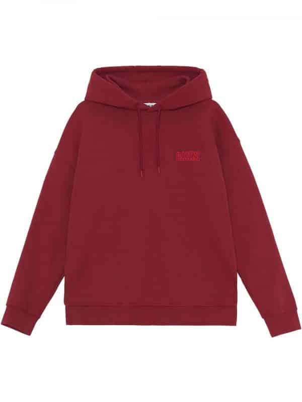 hoodie sweatshirt