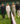 British Summer Season Style Guide UK: What to Wear to Henley, Wimbledon and Garden Parties
