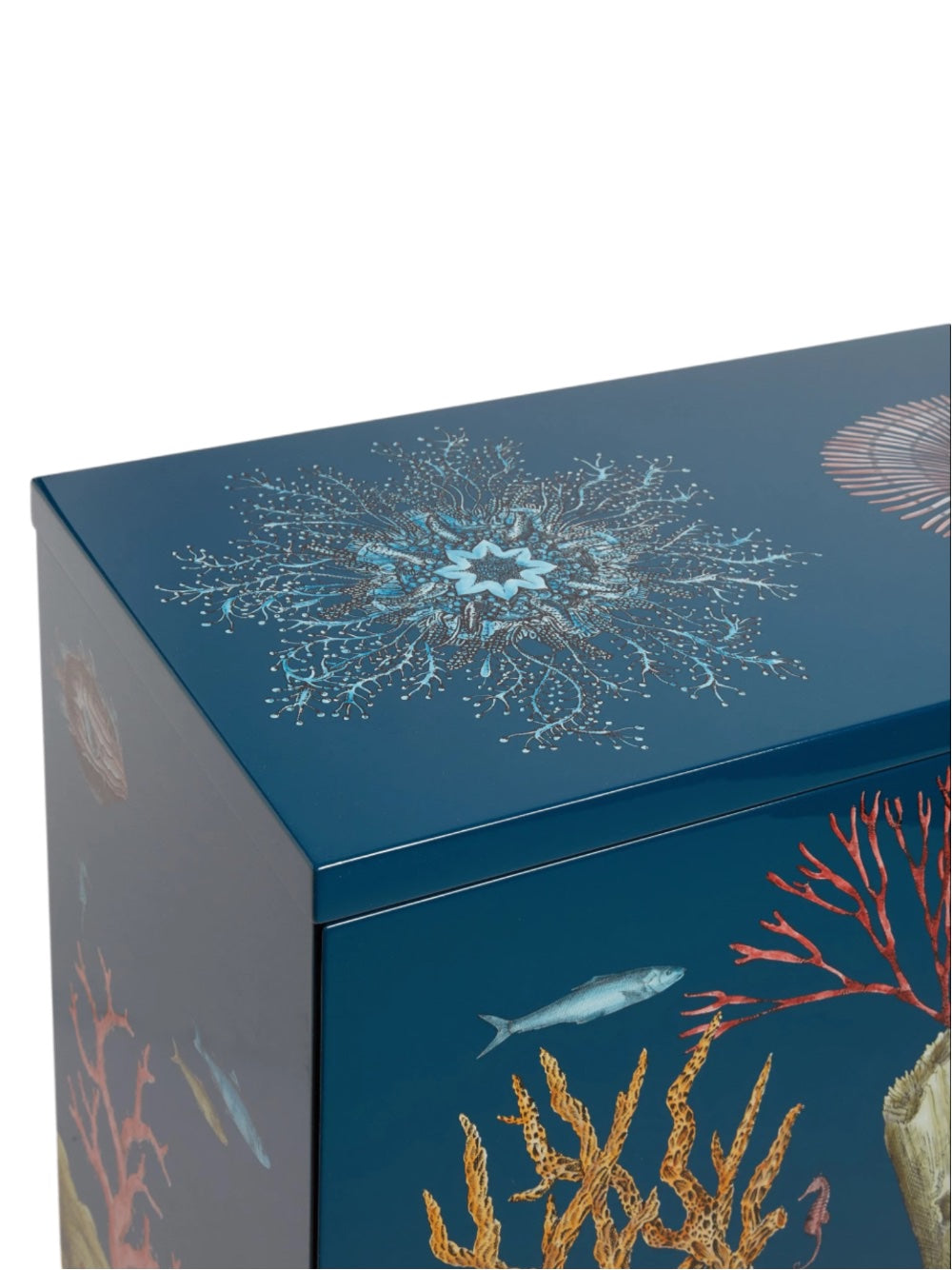 Fornasetti Raised Sideboard Fondo Marino Cabinet Multi