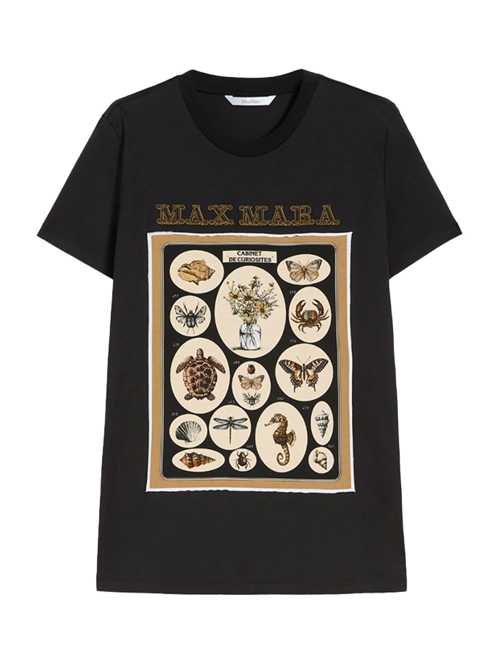 Cotton Jersey T Shirt
